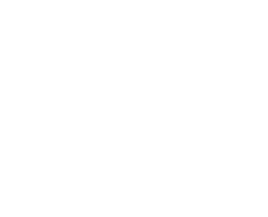 U12A - 海藻米洞石