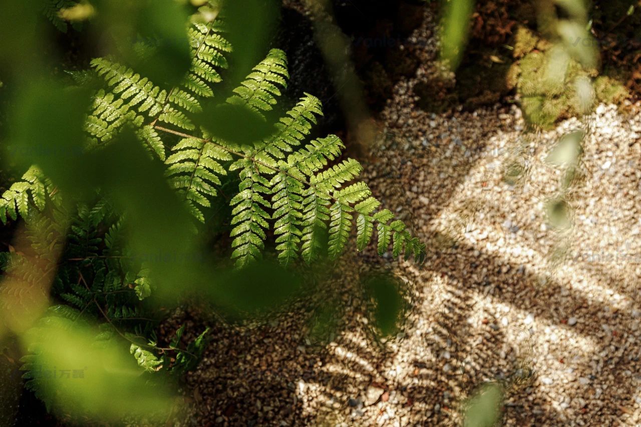 大牌聯(lián)動案例|特芮地板木美展廳由萬磊北京團隊全案落地
