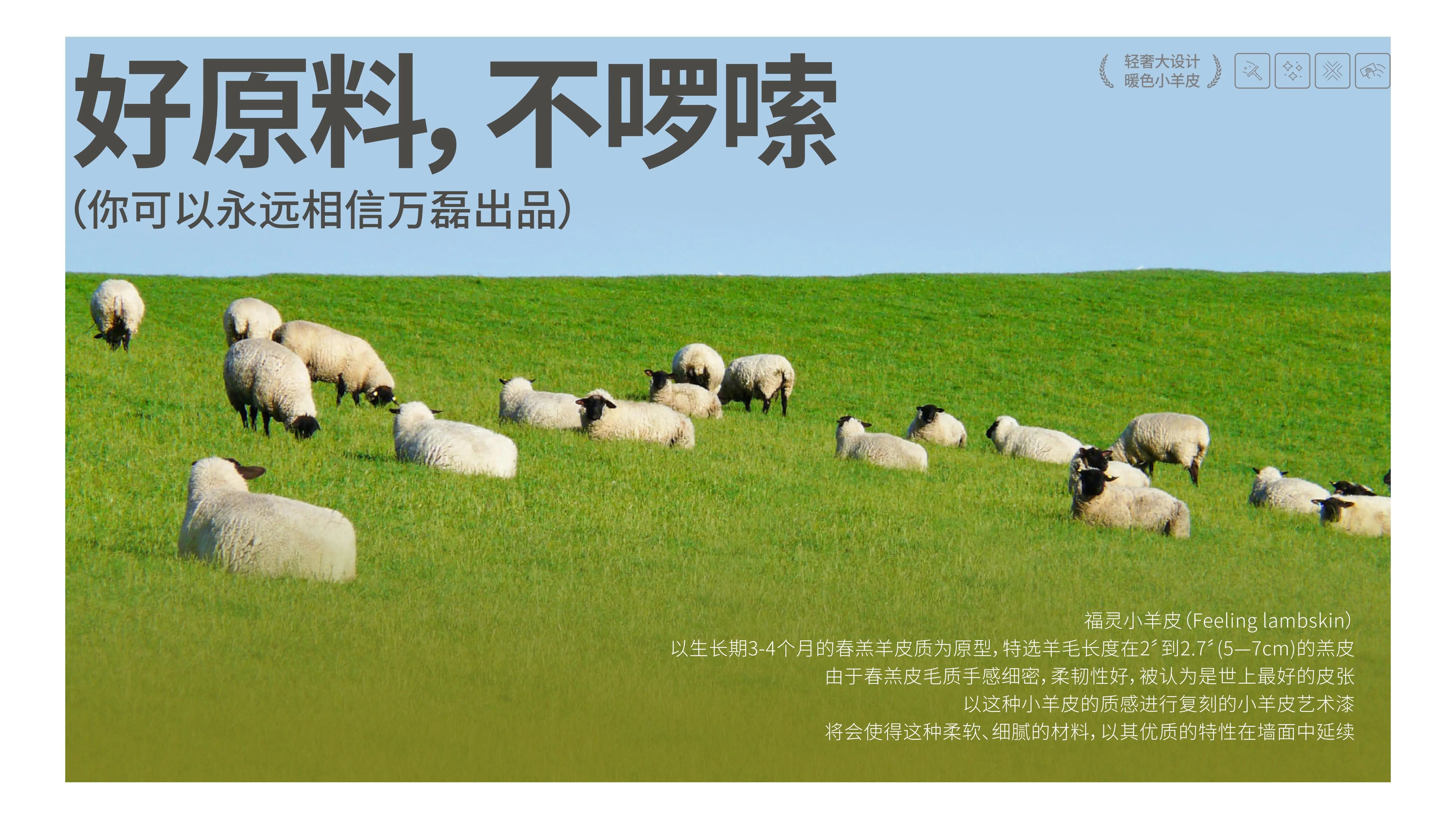 萬(wàn)磊福靈小羊皮來(lái)啦！多樣的表面質(zhì)感等您來(lái)解鎖~
