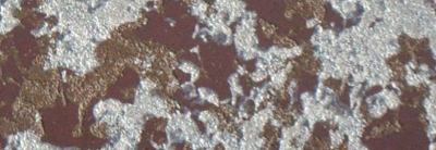 歐式內墻,藝術涂料貼圖