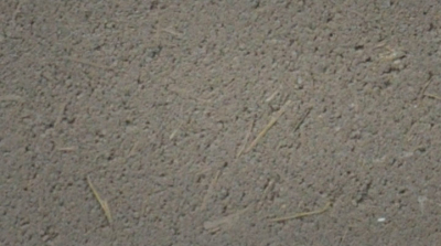 生態(tài)稻草泥藝術涂料