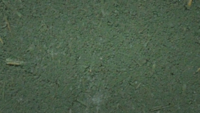 生態(tài)稻草泥藝術涂料