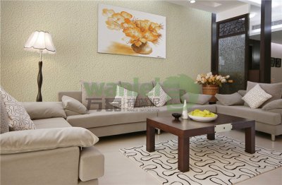 如何選擇合適的硅藻泥品牌？