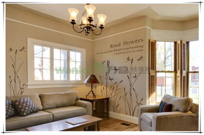 硅藻泥，更好的隔音減噪墻面涂料