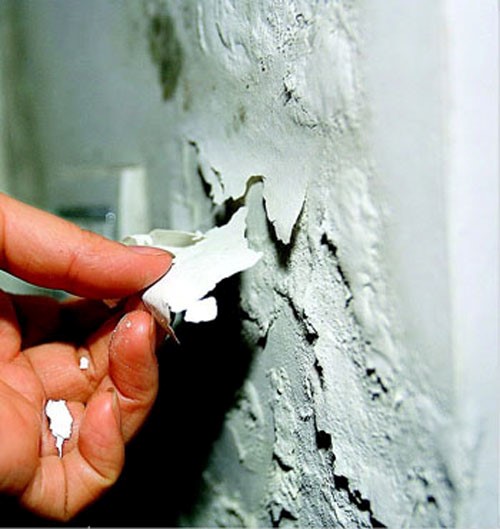 硅藻泥與液體壁紙那個好？