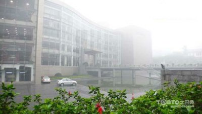 驚蟄過，春雨至，硅藻泥讓你告別濕轆轆