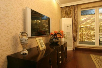 栩栩如生的硅藻泥電視背景墻喜歡嗎？